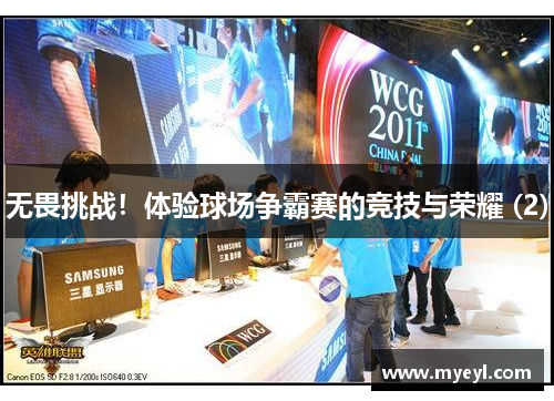 无畏挑战！体验球场争霸赛的竞技与荣耀 (2)