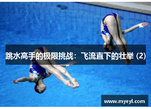 跳水高手的极限挑战：飞流直下的壮举 (2)